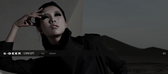 网站设计开发：知名服装品牌圣迪奥